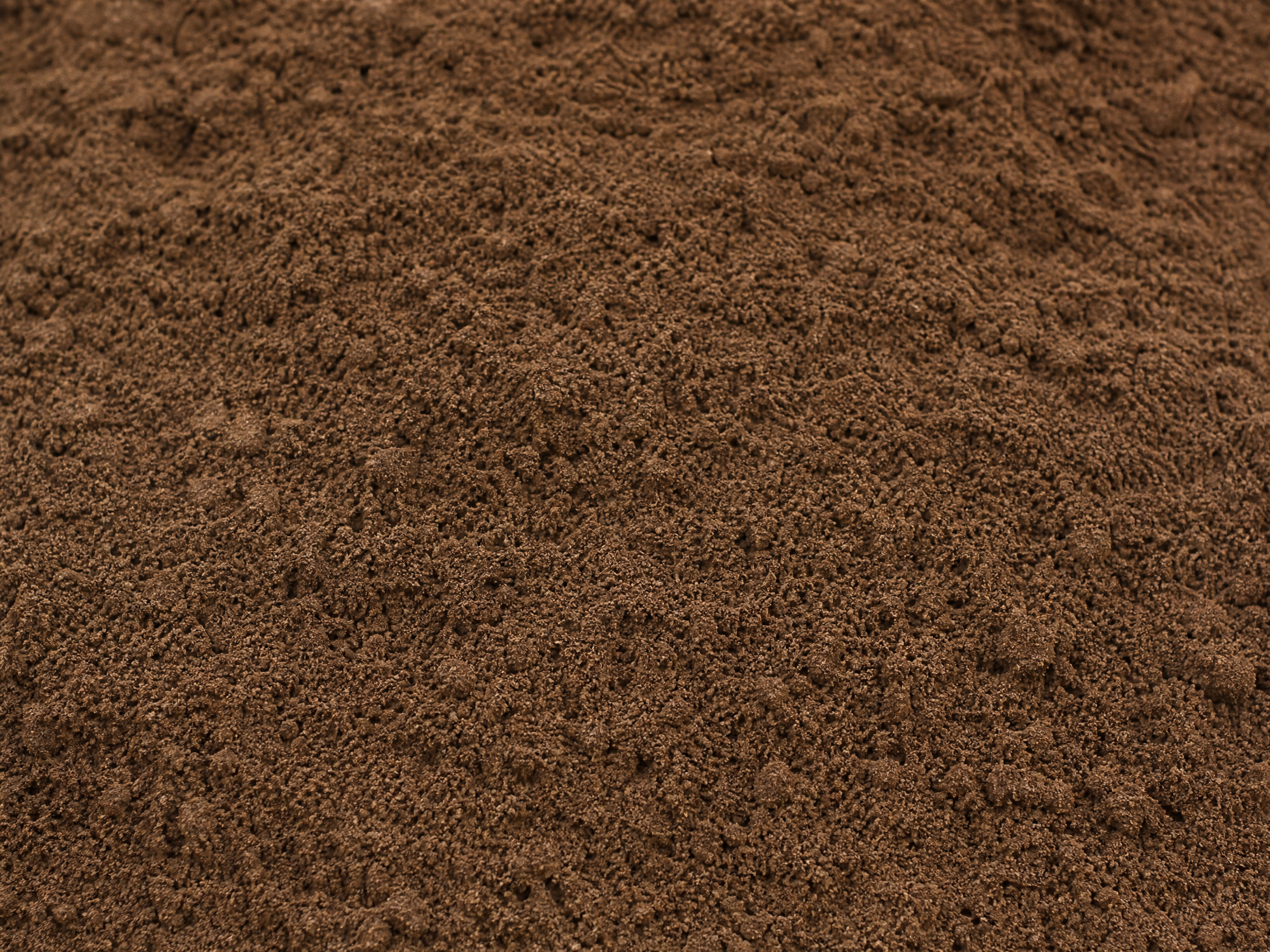 Terra limpa